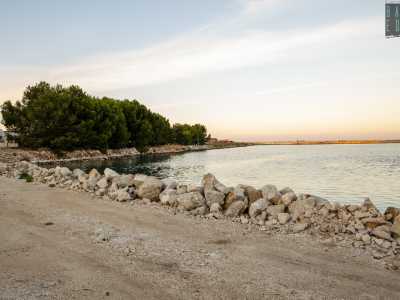 Per ammirarla ci poniamo all�estremit� orientale della colmata, l� dove si apre un curioso boschetto di pini marittimi affacciato sul mare